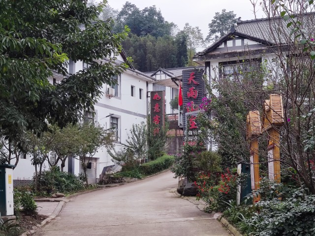 FZ10041066740_A386538.jpg