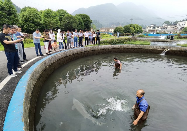 润兆渔业:青山绿水间"掘"出"黑黄金 让"酱"香飘全球