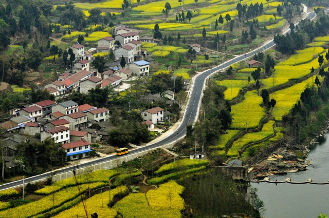 一条高质量的乡村的道路，连结城乡经济的纽(1224855)-20210621114252.jpg