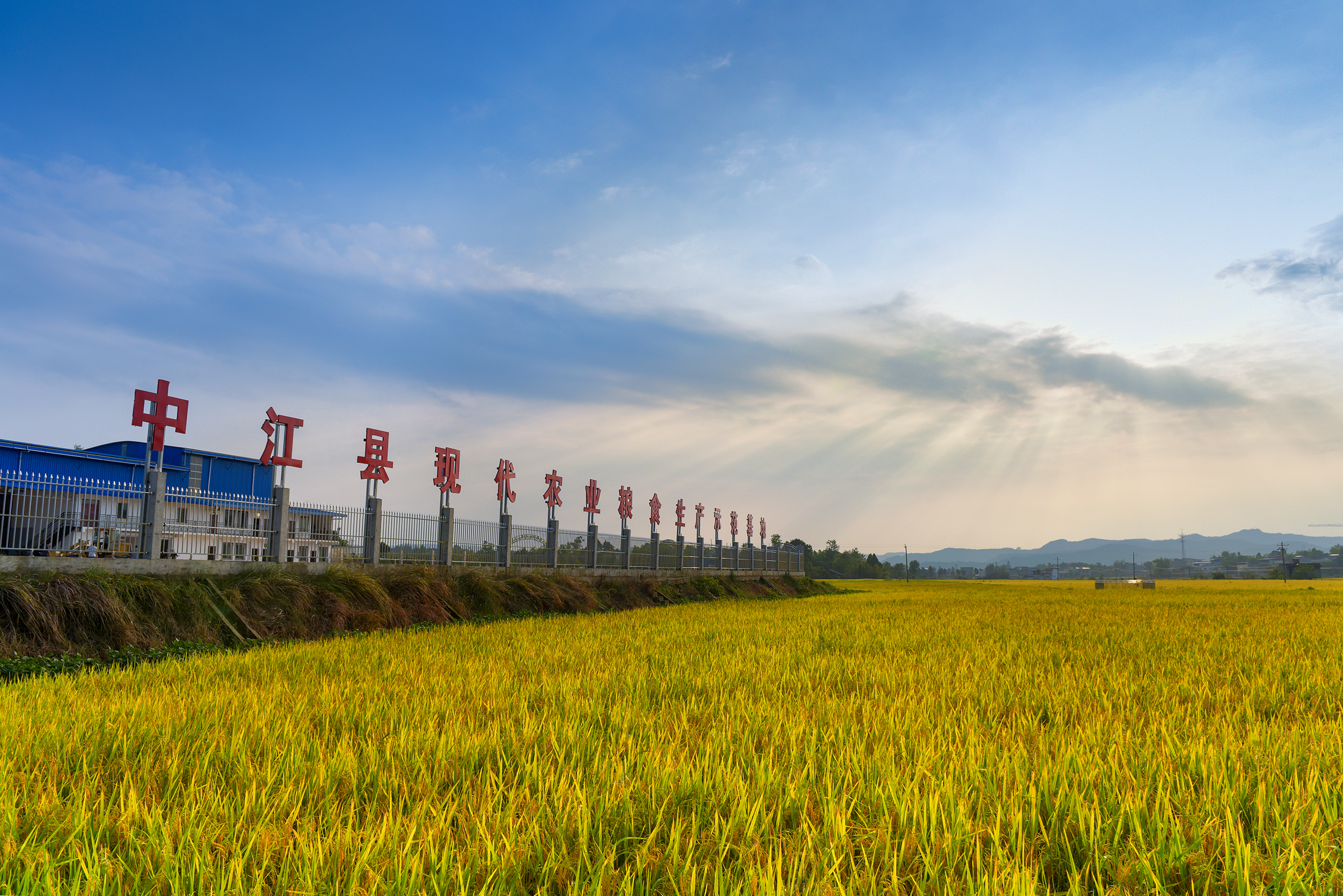 中江縣:做活土地流轉文章,破解農民增收難題-四川經濟網-經濟門戶