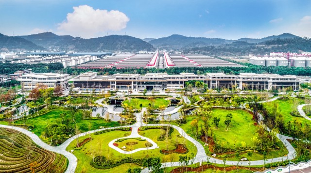 沱牌舍得.jpg