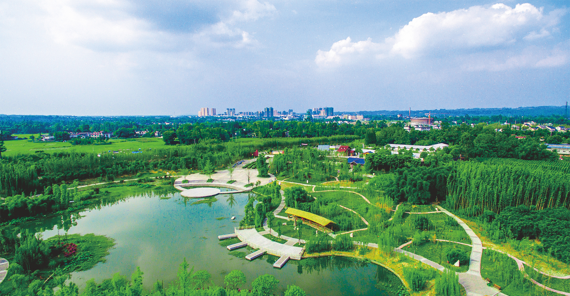 竹林湿地公园.jpg