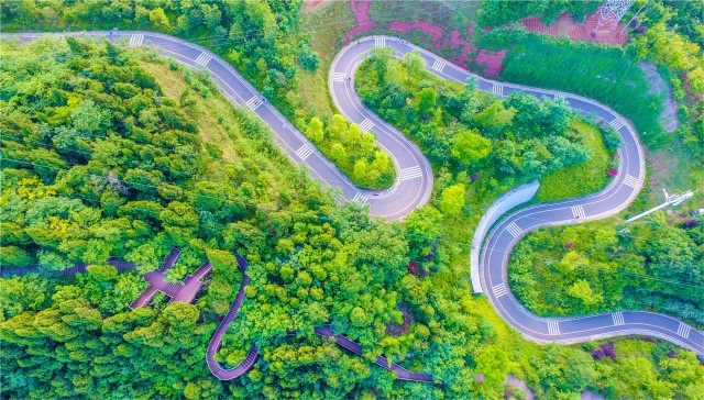遂宁经开区西山森林公园.jpg