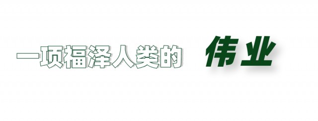 图司机-20221129-33711689 (2).png