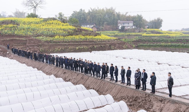 富顺县：分秒必争拼开局快马加鞭求突破