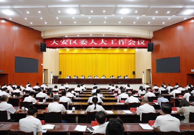 大安区委人大工作会议 (2).jpg