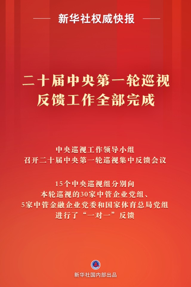 中央巡视组.png
