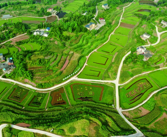 龙贯山稻梁现代农业园区航拍.jpg