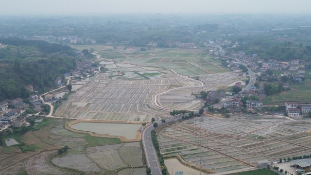 大安区全域土地综合整治试点项目.jpg