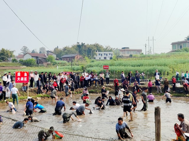 IMG_20250408_172002.jpg
