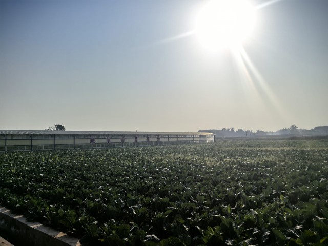 D6DD280C9C996E9EFECD4C75AB315D73.jpg